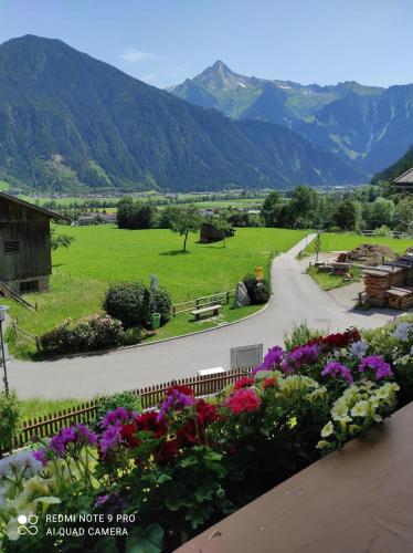 a view from the balcony of a garden with flowers at Haus Mühlenheim in Schwendau