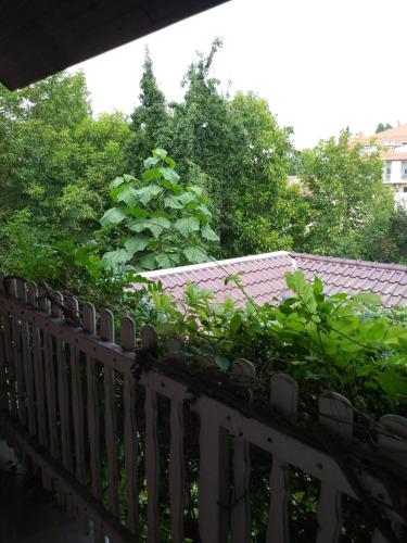 a wooden fence with plants on top of it at Balogh vendegház in Szeged