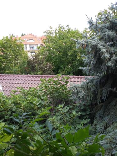 a view of a garden with trees and a roof at Balogh vendegház in Szeged