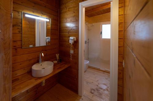 a bathroom with a sink and a mirror at Plana Resort & SPA in Castel Volturno