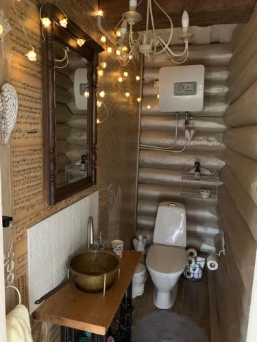 een badkamer met een wastafel en een toilet bij Koka Pässä küla Võru vald in Võru