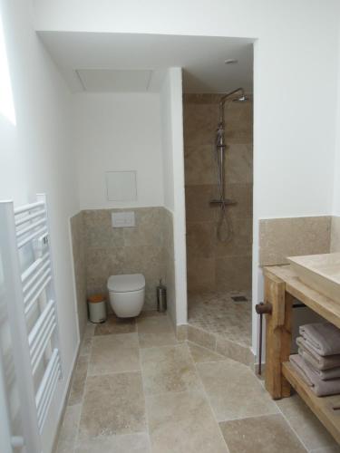 een badkamer met een douche en een toilet bij La Bourgade in Céreste