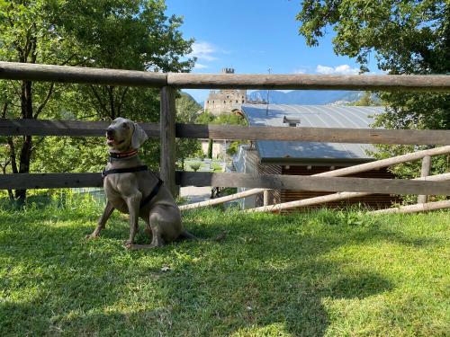 Resort Drena – Photos 5