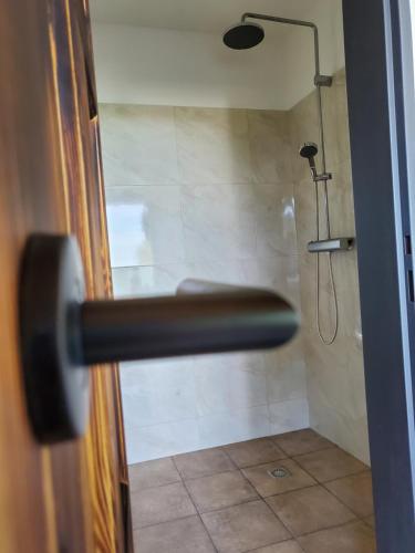 a bathroom door with a shower with a shower head at RIP by Říp in Krabčice