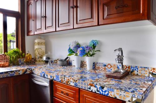uma cozinha com um balcão com azulejos azuis e brancos em Sumangá Hotel Boutique em Sutatausa