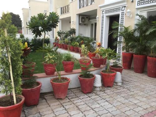a bunch of potted plants in red pots in front of a building at Villa 5 in Sohāna