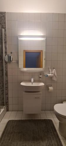 Vonios kambarys apgyvendinimo įstaigoje Gasthof Alte Post