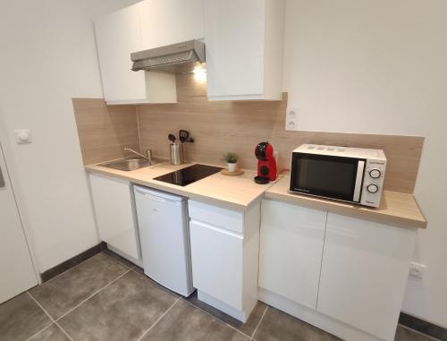 Photo de la galerie de l'établissement Sources des Célestins - Gare - Pôle universitaire - labellisé Clévacances 3 étoiles, à Vichy