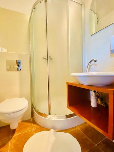 a bathroom with a shower and a toilet and a sink at Zajazd Jonatan in Czernin