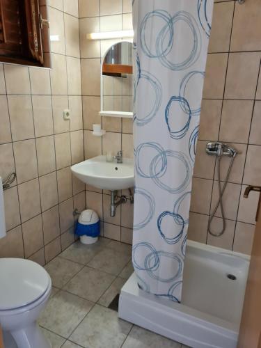 a bathroom with a toilet and a sink at Resort Village T.N. Milna in Vis