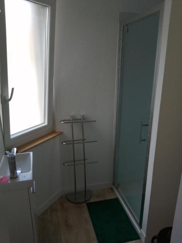 uma casa de banho com um chuveiro e uma porta de vidro em Bruneval lodge em Dunkerque