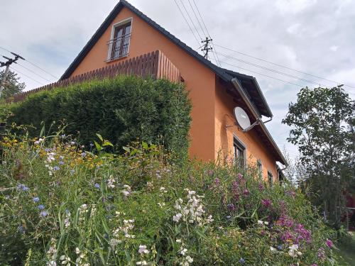 an orange house with a bush in front of it at Ferienhaus Hilde in Steinwiesen