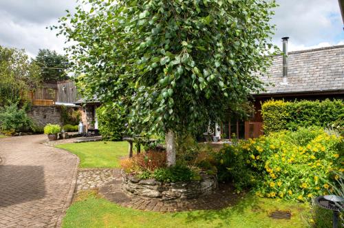 Irfon Cottage في بيلث ويلز: شجرة في حديقة بجوار منزل