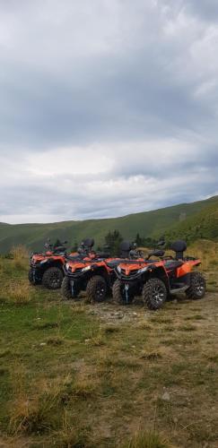a group of four atvs parked in a field at Vila Alunis in Buşteni