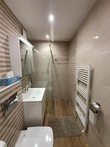 a bathroom with a shower and a toilet and a sink at Луксозен апартамент с WiFi на 10км от Боровец in Samokov