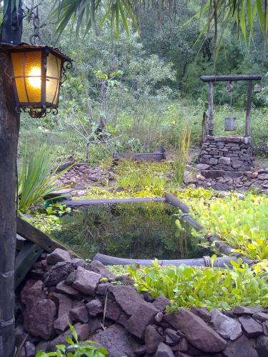 Κήπος έξω από το Casita de Piedra B&B