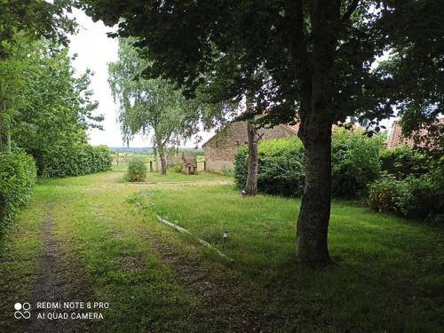 a tree in the middle of a grassy yard at Gîte de La Brenelière in Cirière