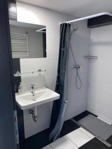 uma casa de banho com um lavatório e um chuveiro em Varkerulet Apartman em Sárvár