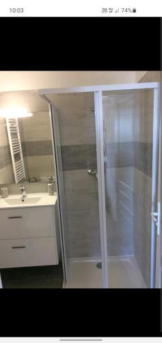 une salle de bain avec douche et lavabo dans l'établissement Poseidon, à Cagnes-sur-Mer