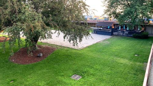 an aerial view of a yard with a tree at Norfolk Country Inn and Suites in Norfolk