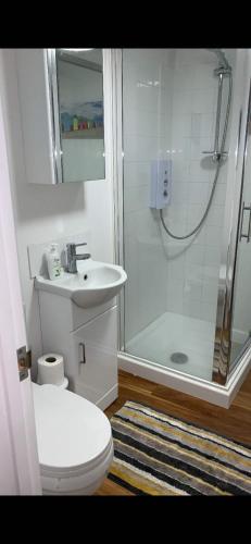 a bathroom with a shower and a toilet and a sink at Lindas LODGE Free PARKING air con plus provisions included in Hove