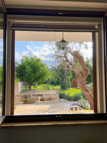 Tenuta Palummaru – Photos 3