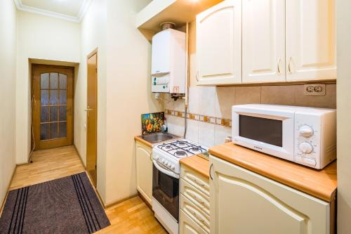 リヴィウにある1 bedroom apartment in the center on Lesya Ukrainka Street 7の小さなキッチン(電子レンジ、コンロ付)