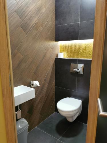 a bathroom with a toilet and a sink at Alpengasthof Tanzstatt in Lachtal