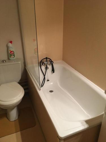 une salle de bain avec une baignoire blanche et des toilettes dans l'établissement Au pied des pistes, à Saint-Aventin