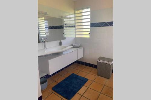 a bathroom with a sink and a mirror at Villa Maxim vue sur mer in Fond Boucher