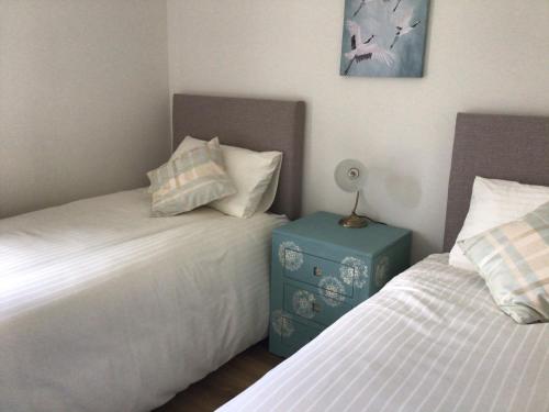 a bedroom with two beds and a night stand with a lamp at Orchardgrove apartment in Carlow