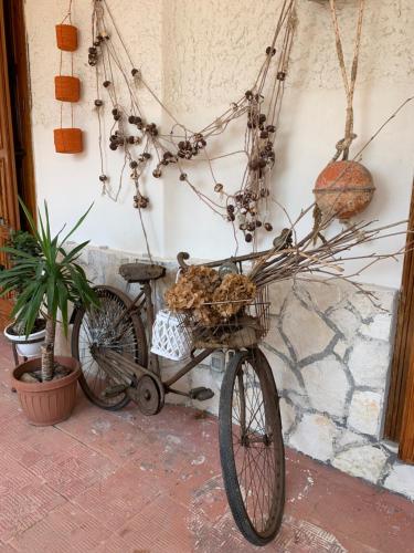 a bike with a basket on the side of a wall at Villa Anna GuestHouse in Brindisi