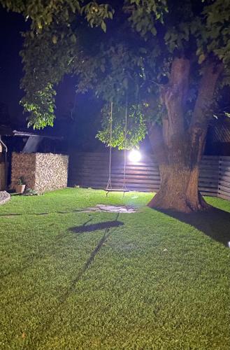 a swing hanging from a tree in a yard at night at Casa Pisica Noastra in Breaza
