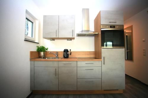 uma cozinha com um lavatório e um frigorífico em Überlinger See-Apartments Über-See Apartment 3 em Überlingen