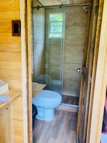a small bathroom with a toilet and a shower at Ecohotel Portillo de San Bernardo in Nocaima