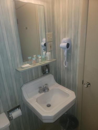 a bathroom with a sink and a mirror at Medina Inn in Medina