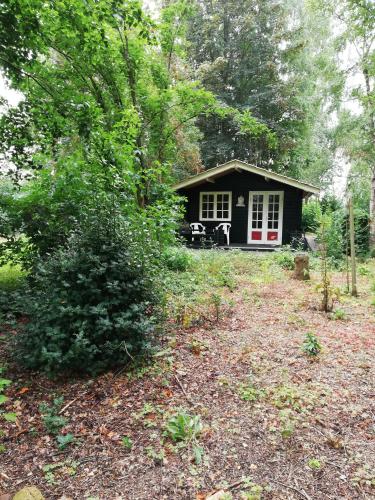 a small black cabin with a red door in the woods at Zizania in Noord-Sleen