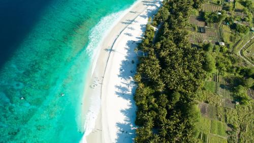 an overhead view of a beach with trees and the ocean at Isle Royal Inn in Fuvahmulah