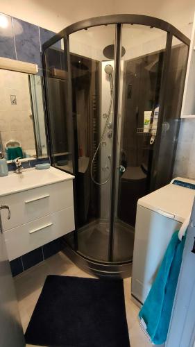 une salle de bain avec douche et lavabo dans l'établissement Bel appartement 45m2 rez de chaussée plein sud, à Font-Romeu-Odeillo-Via