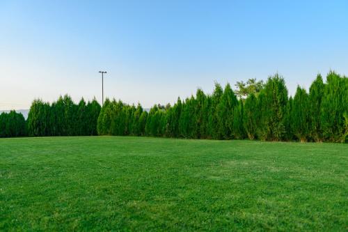 a field with green grass and trees in the background at Вилен комплекс Дарибел in Sapareva Banya