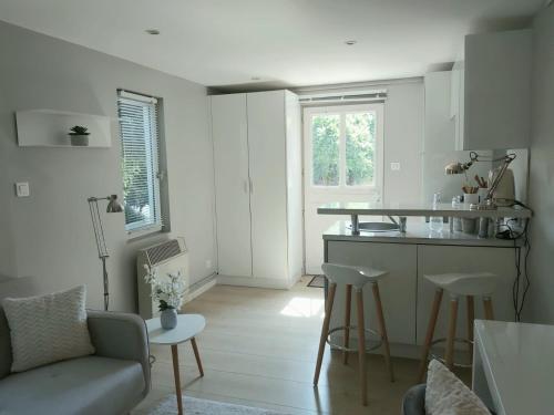 a kitchen and living room with a couch and a table at Charmant Studio sur cour à LYON 9e Mont d'or in Lyon