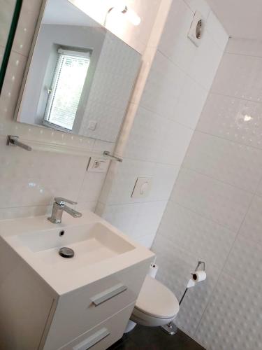 une salle de bain avec un lavabo et un miroir et des toilettes dans l'établissement Charmant Studio sur cour à LYON 9e Mont d'or, à Lyon