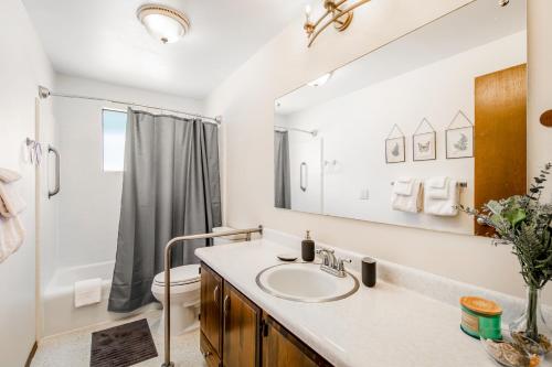 a bathroom with a sink and a toilet and a mirror at Home on Holmes in Freeland