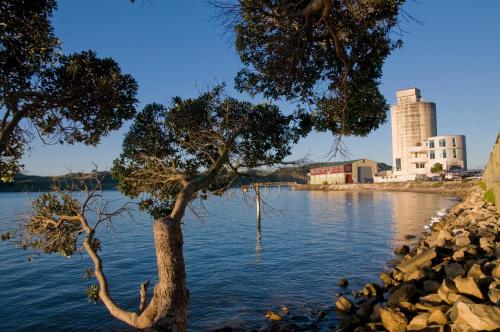 a tree in the middle of a body of water at The Silos Apartments in Raglan