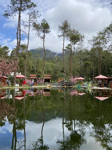Supercamp Sakura Hills Karanganyar Aktualisierte Preise Fur 2021
