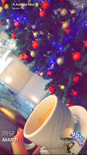 a cup of coffee next to a christmas tree at Casa Sterp in Jina