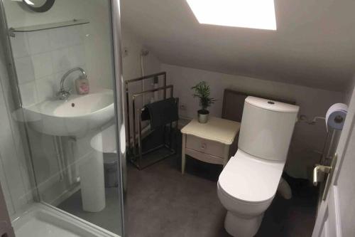 uma casa de banho com um WC e um lavatório em Appart Cosy Annœullin - Proche toutes commodités em Annoeullin