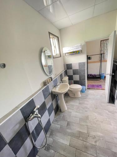 a bathroom with a sink and a toilet and a mirror at 鳳奶客棧 in Changbin