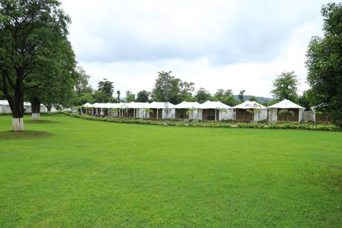 a row of tents in a large grass field at White Feather Resort Kauncha in Silvassa
