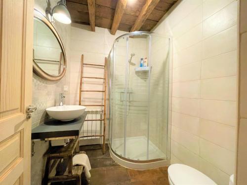 a bathroom with a shower and a sink at El Rincón de Golobar en Brañosera in Brañosera